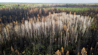 Ο πλανήτης εκπέμπει SOS: Ρεκόρ εκπομπών άνθρακα από τις δασικές πυρκαγιές στον Καναδά
