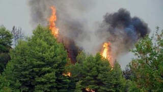 Μαίνονται τα μέτωπα σε Όλυμπο, Ασπρόπυργο και Ροδόπη – 37 πυρκαγιές σε ένα 24ωρο