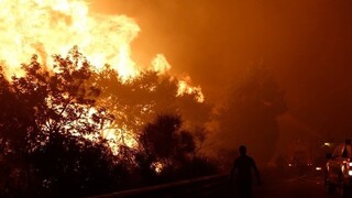 Κύπρος: Μεγάλη φωτιά στη Λεμεσό –  Δύο εναέρια μέσα στέλνει η Ελλάδα