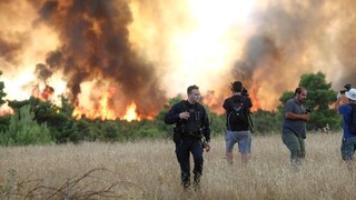 Εβδομάδα μποφόρ: «Καμπανάκι» ειδικών για πυρκαγιές - Ποιες περιοχές εμφανίζουν αυξημένο κίνδυνο