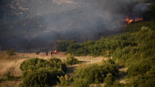 Φωτιά σε Τρίπολη και Σέρρες: Συναγερμός στην Πυροσβεστική