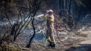 Πυρκαγιές: Τουλάχιστον το 23% της Αττικής κάηκε μέσα στα τελευταία επτά χρόνια