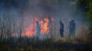 Πυρκαγιές: Υψηλός κίνδυνος και την Κυριακή - Έκκληση της Πυροσβεστικής στους πολίτες