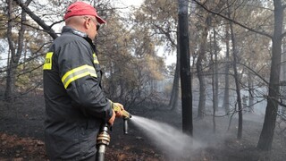 Υπό μερικό έλεγχο οι πυρκαγιές σε Κάρυστο και Πύλο - 31 δασικές φωτιές το τελευταίο 24ωρο