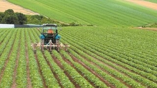 «Πράσινος Αγροτουρισμός»: Ενισχύεται για την αντιμετώπιση της κλιματικής κρίσης