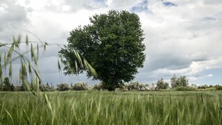«Πράσινος Αγροτουρισμός»: Με ποιον τρόπο συμβάλει στην αντιμετώπιση της κλιματικής αλλαγής