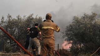 Υψηλός κίνδυνος πυρκαγιάς σε πάνω από 20 περιοχές την Παρασκευή