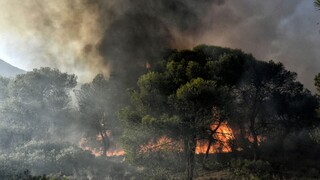Φωτιά στην περιοχή Κερασιά στο 'Αγιο Όρος - Υπό μερικό έλεγχο στη Ροδόπη