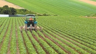 «Πράσινος Αγροτουρισμός»: Πως βοηθά στην αντιμετώπιση της κλιματικής αλλαγής