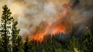 Καναδάς: Χιλιάδες άνθρωποι εγκαταλείπουν τα σπίτια τους για να γλιτώσουν από τις πυρκαγιές