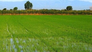 «Πράσινος Αγροτουρισμός»: Ενισχύει την αντιμετώπιση της κλιματικής αλλαγής
