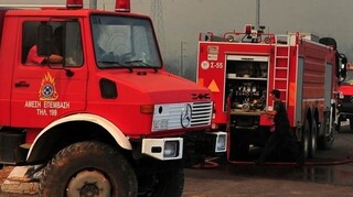 Χαλκιδική: Υπό μερικό έλεγχο η φωτιά στο Άγιο Όρος