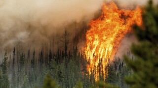 Καναδάς-πυρκαγιές: Σε κατάσταση έκτακτης ανάγκης η Βρετανική Κολομβία - Πάνω από 1000 φωτιές ενεργές