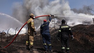 Συναγερμός στην Πυροσβεστική - Φωτιά στην Ιεράπετρα