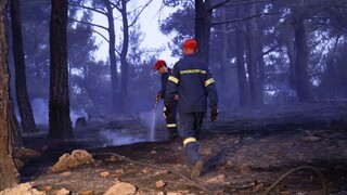 Φωτιά στη Χαλκιδική: Υπό έλεγχο η πυρκαγιά στο Βατοπέδι Ορμύλιας