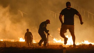 Αλεξανδρούπολη: Δύσκολη νύχτα στο πύρινο μέτωπο - Μάχη με τις φλόγες και τους δυνατούς ανέμους