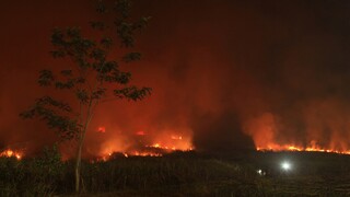 Αλβανία: Μάχη με τις φλόγες σε δασικές εκτάσεις - Τέσσερις συλλήψεις εμπρηστών που έκαιγαν χόρτα