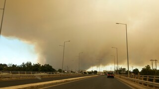 Εκτός ελέγχου η φωτιά στην Αλεξανδρούπολη: Πνέουν ισχυροί άνεμοι - Επιχειρούν και τα εναέρια μέσα