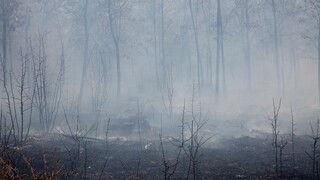 Φωτιά στην Αλεξανδρούπολη: Δορυφορική εικόνα των καμένων εκτάσεων και των ενεργών μετώπων