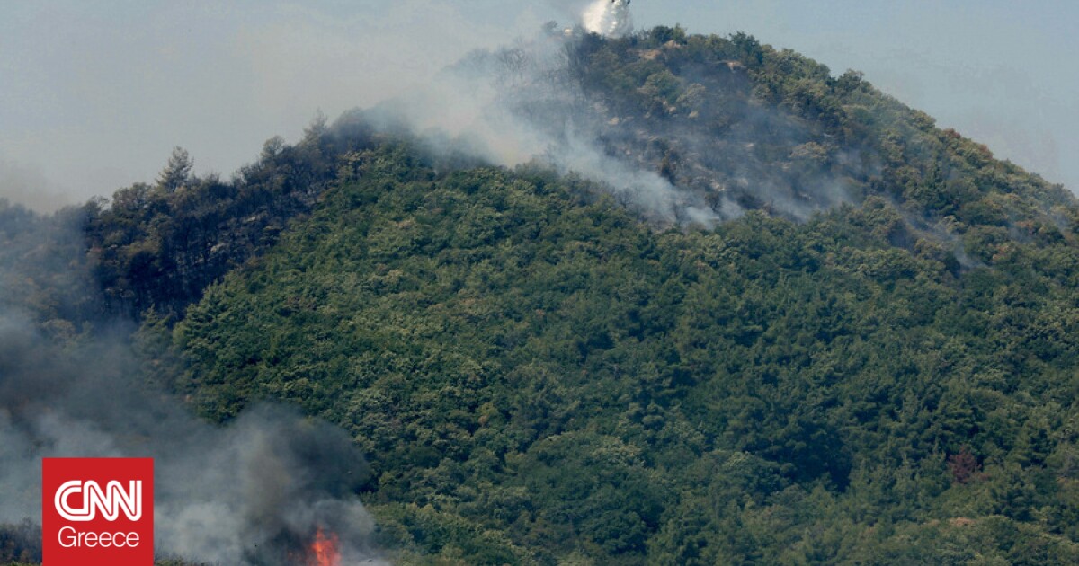 Φωτιά στην Αλεξανδρούπολη: Αναφορές για καμένα σπίτια στο Δωρικό