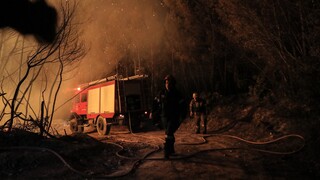 Φωτιά στη Ροδόπη: Επί τόπου δυνάμεις της Πυροσβεστικής