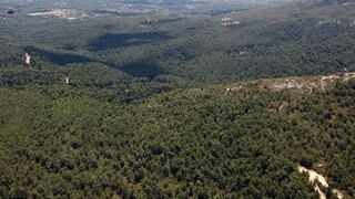 Νέα απαγόρευση κυκλοφορίας σε δασικές περιοχές Σερρών και Νιγρίτας