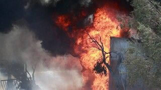 Βοιωτία: Νεκρός εντοπίστηκε βοσκός από τη φωτιά
