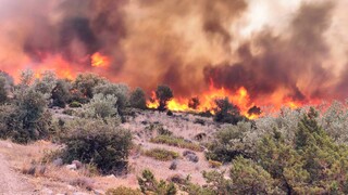 Ποιες περιοχές εμφανίζουν ακραίο κίνδυνο εκδήλωσης πυρκαγιάς σήμερα