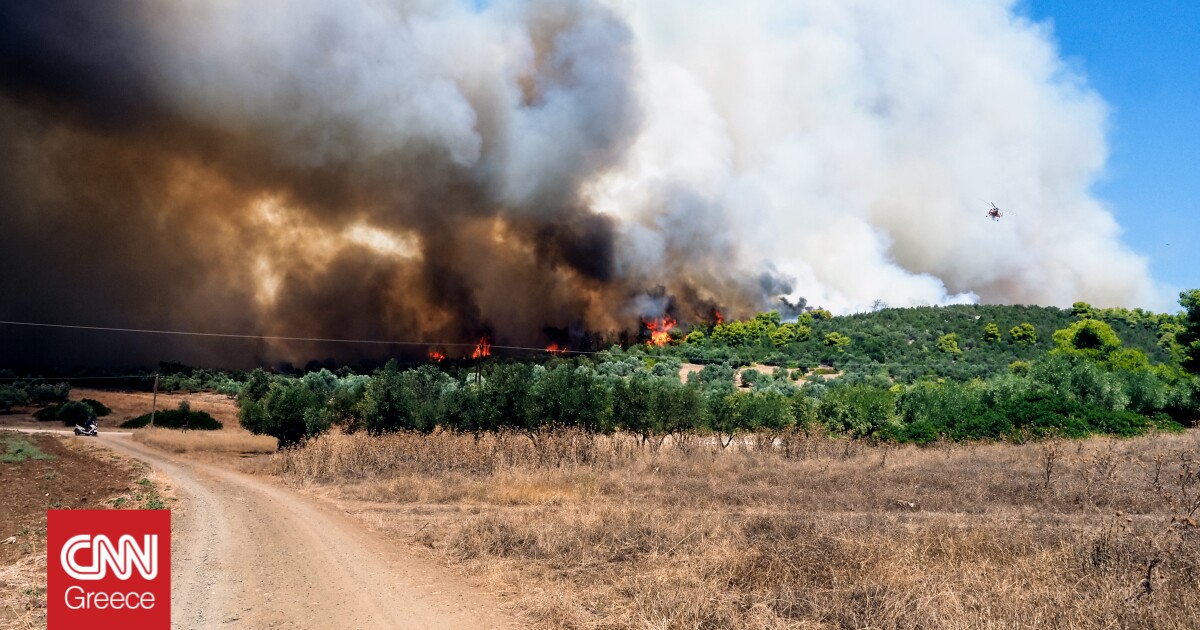 Μεγάλη φωτιά στην κεντρική Εύβοια: Τρία ανοιχτά πύρινα μέτωπα