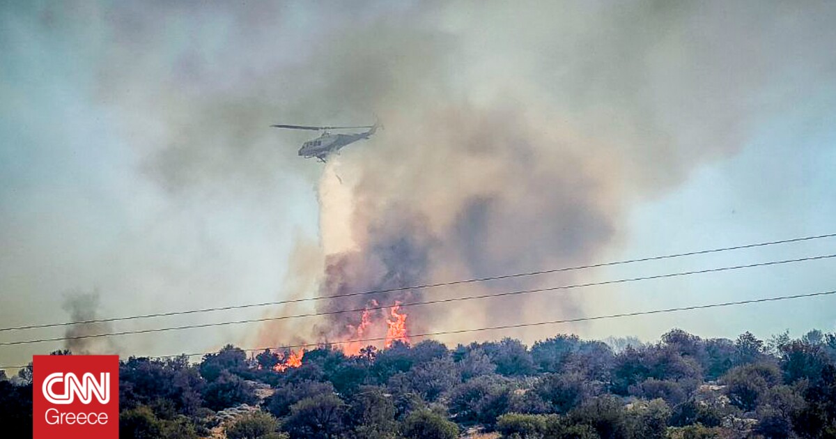 Φωτιά στην Βοιωτία: Συνεχείς αναζωπυρώσεις – Χιλιάδες στρέμματα δάσους στις φλόγες