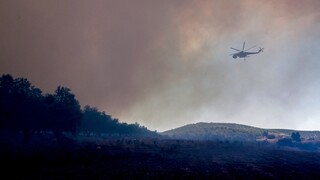 Πυρκαγιά στα Καλύβια - Επιχειρούν εναέρια μέσα - Μήνυμα του 112
