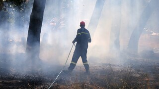Πυρκαγιά στα Καλύβια: Τέθηκε υπό μερικό έλεγχο το μέτωπο