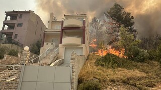Φωτιά στη Φυλή: Σπίτια στις φλόγες -  Δραματικές στιγμές για τους κατοίκους