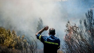Πυρκαγιά στη Νέα Σαμψούντα Πρέβεζας - Κοντά σε οικισμό