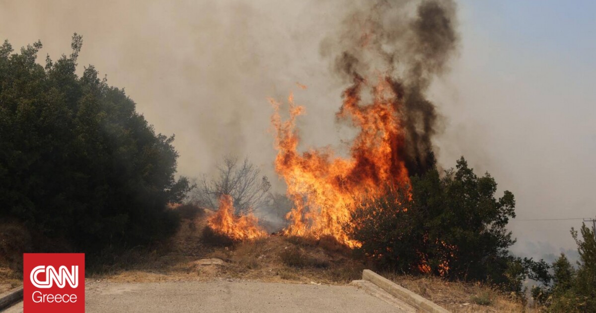 Φωτιά σε Φυλή και Ασπρόπυργο: Ποιοι δρόμοι είναι κλειστοί