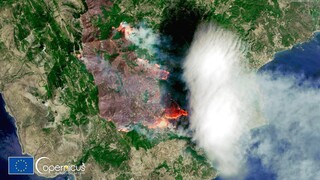 Πυρκαγιές: Νέα ενεργοποίηση του Copernicus για την χαρτογράφηση της Στερεάς Ελλάδας