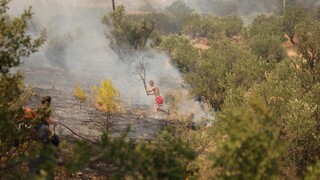 Συγκλονιστικά βίντεο από τη φωτιά στη Φυλή - Στάχτη το δάσος