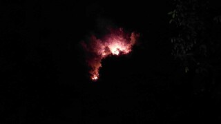 Φωτιά στα Καλάβρυτα στην περιοχή Πλάκα