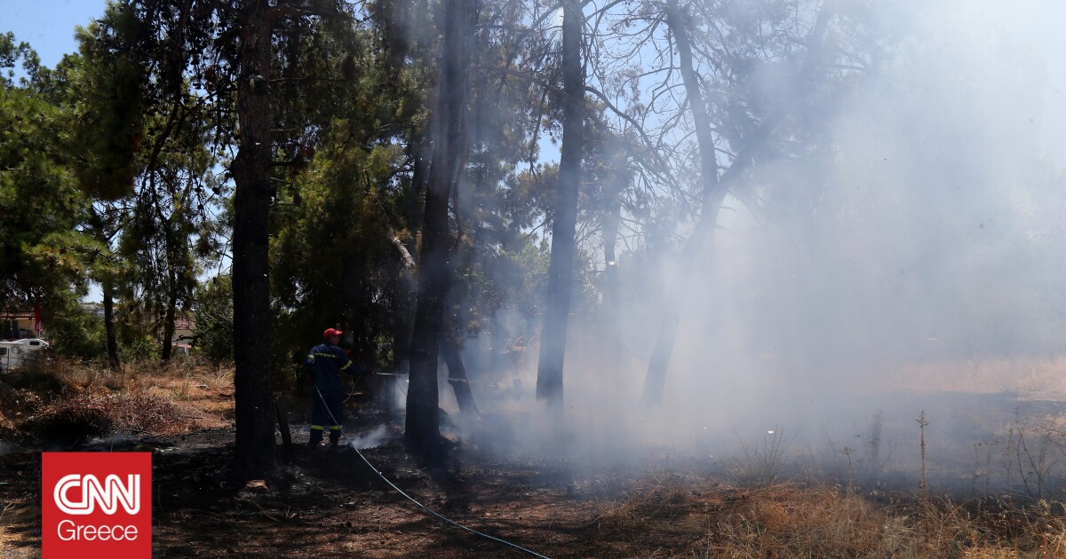 Φωτιές: Οριοθετήθηκε το μέτωπο σε Σαμοθράκη, υπό έλεγχο στον Πολύγυρο Χαλκιδικής