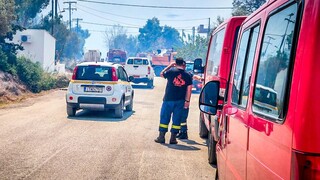 Φωτιά στη Ροδόπη: Μήνυμα 112 στην περιοχή Κασσιτέρα