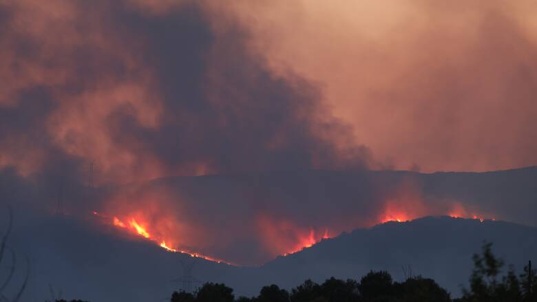 Έβρος: Περισσότερα από 617.000 στρέμματα κατέκαψε η πυρκαγιά - 50.000 στη Φυλή