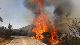 Πυρκαγιά στην Πάρνηθα: Ποιοι δρόμοι είναι κλειστοί