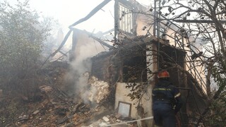 Πυρκαγιά στον Έβρο: Απανθρακώθηκαν 950 ζώα - Kάηκαν 1.200 μελίσσια