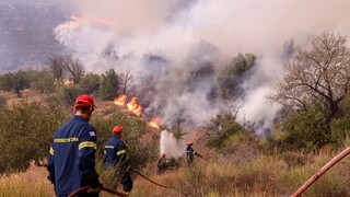 Ποιες περιοχές εμφανίζουν πολύ υψηλό κίνδυνο εκδήλωσης πυρκαγιάς σήμερα