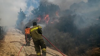 Φωτιά στη Εύβοια - Στις φλόγες δασική έκταση στον οικισμό Αγιος