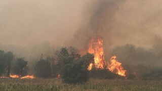Βάρη: Πάνω από 270 κεραυνοί σε μία ώρα προκάλεσαν φωτιές σε έξι σημεία