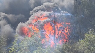 Πυρκαγιές: Σε εξέλιξη τα πύρινα μέτωπα - Μάχη με τις αναζωπυρώσεις σε Πάρνηθα και Έβρο