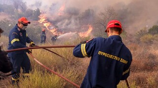 Φωτιά στην Άνδρο: Mήνυμα από το 112 για εκκένωση οικισμού - Τρία ενεργά μέτωπα στον Έβρο