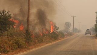 Φωτιά στον Έβρο: Εκκενώνονται τρεις ακόμη οικισμοί - Μάχη με τις φλόγες και στην Άνδρο