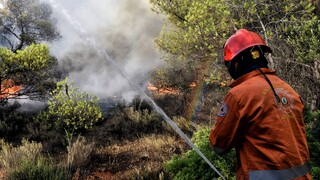Μάχη με τις φλόγες σε όλη την Ελλάδα - Πάνω από 300 κεραυνοί δημιούργησαν νέα μέτωπα